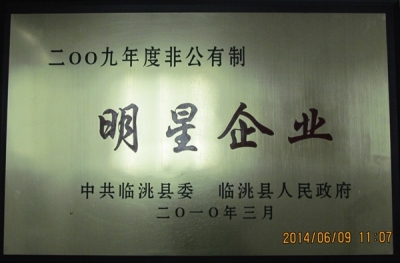 2009年度非公有制明星企業(yè)獎